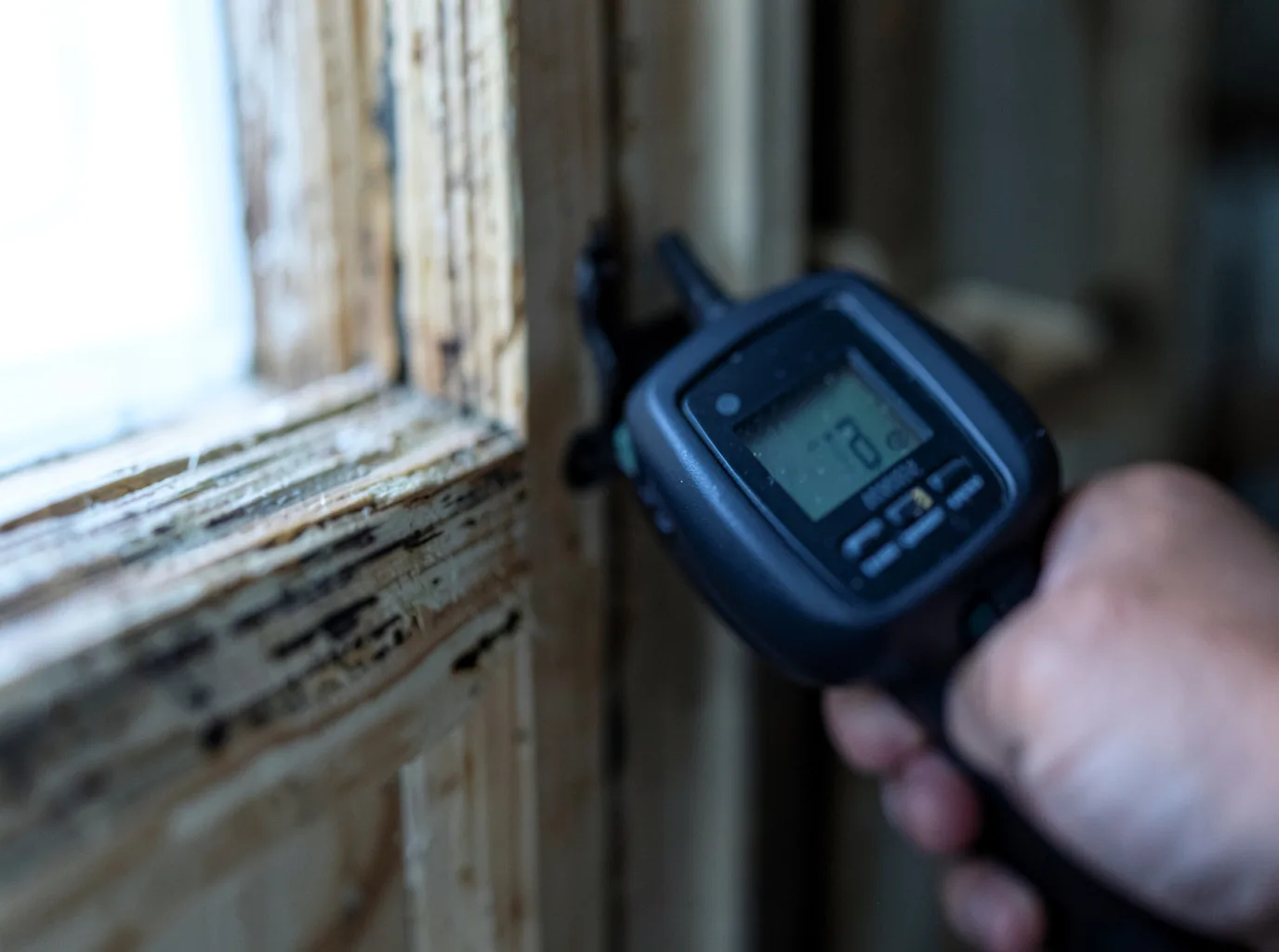 Moisture Inspection And Documentation in Germantown, TN